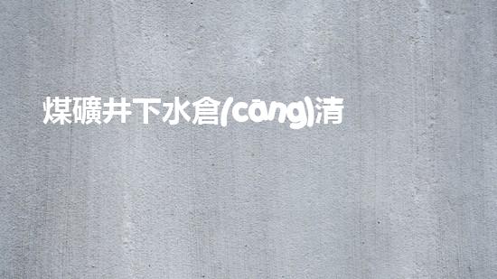 煤礦井下水倉(cāng)清淤設(shè)備維修：解鎖黑暗深淵，守護(hù)生命之源！
